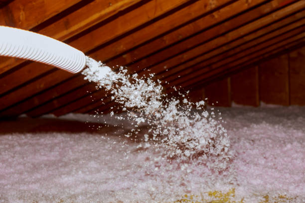 Best Insulation Repair Services  in Oroville East, CA
