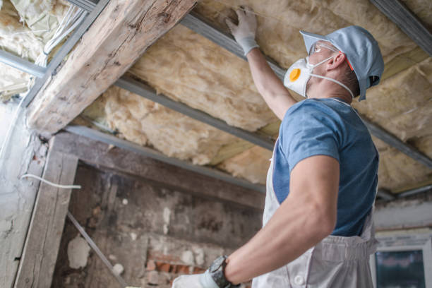 Best Insulation Replacement Services  in Oroville East, CA