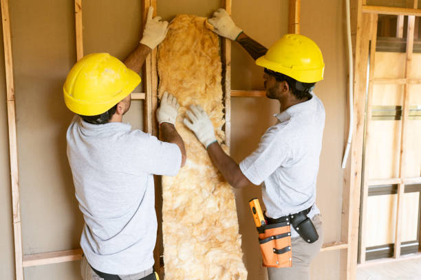 Best Insulation Contractor Near Me  in Oroville East, CA