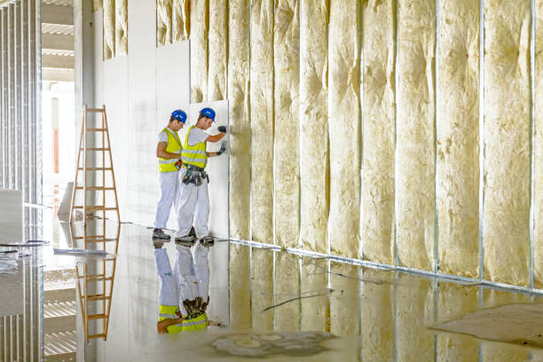 Best Wall Insulation Contractor  in Oroville East, CA